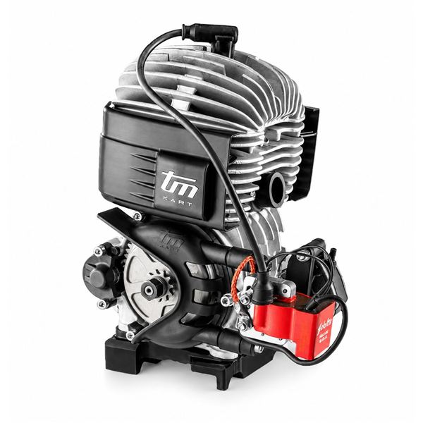 Motor TM MINI3 60 ccm (zapalování Selettra)