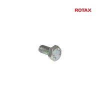 Šroub IMBUS M 6x12 mm - ROTAX DD2