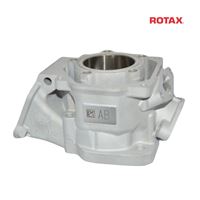 Válec 125 MAX evo 2024 - ROTAX