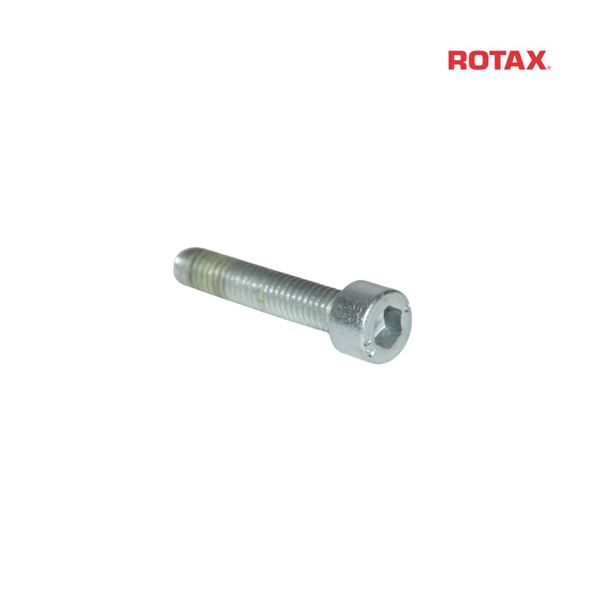 Šroub  M6x30 mm - ROTAX MAX/DD2