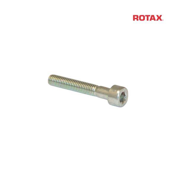 Šroub IMBUS M5x30 mm - ROTAX DD2